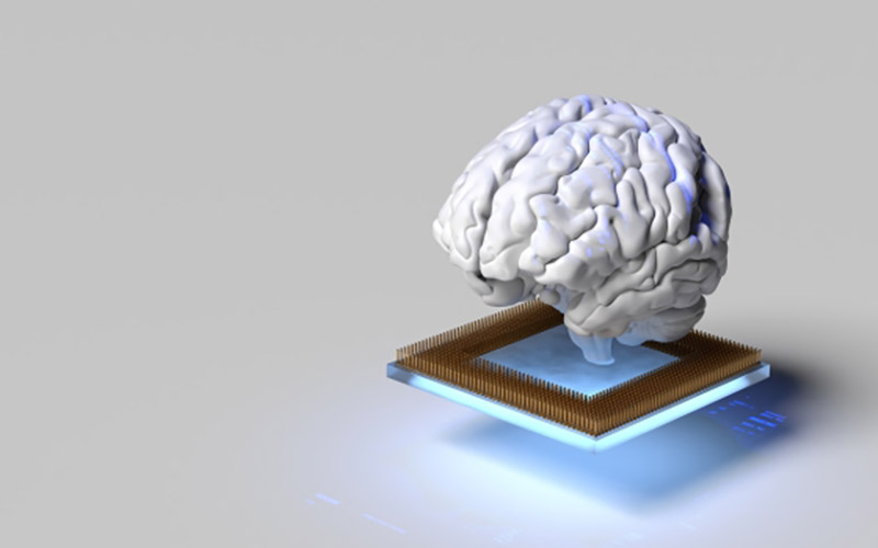 brain sitting on top of tablet