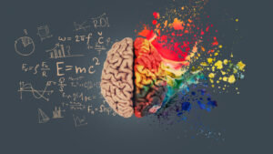 Left right human brain concept. Creative art brain side (right) explodes with paint splatter; and mathematical brain side (left) with formulas.