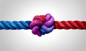 Agreement and cooperation as a bipartisan or bipartisanship trust concept and connected symbol as two different ropes (red and blue) combining (purple) and tied together for a common cause.