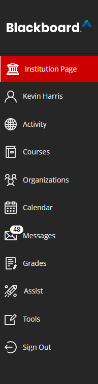 Old base navigation menu. Institution page was the top item, followed by the user. Items have larger icons and there is more spacing between items.